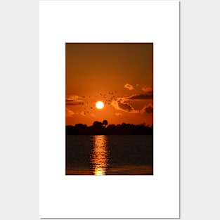 Sunset in Florida Posters and Art